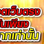 บาคาร่า88888 เว็บตรง